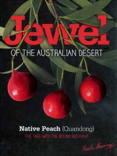 click to enlarge book cover - click to enlarge